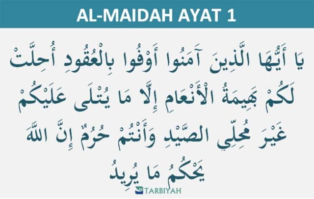 al maidah ayat 1