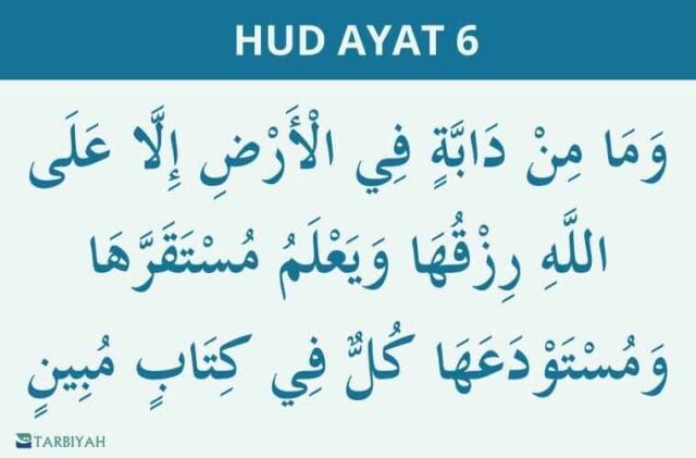 hud ayat 6